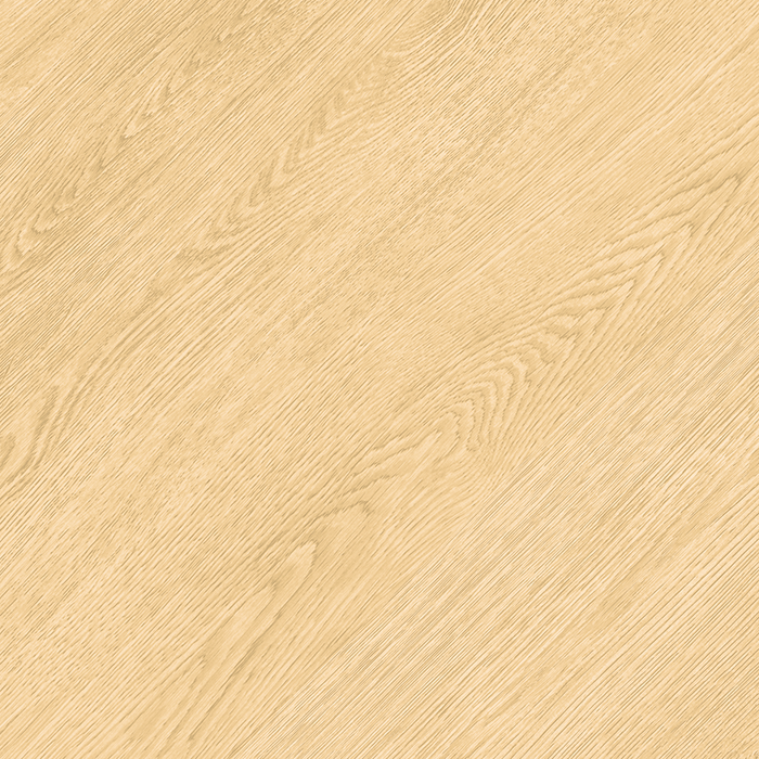 CG-5504_1.png CG-5504 1