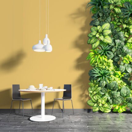 NG/NF 2055 (Basic Solid)